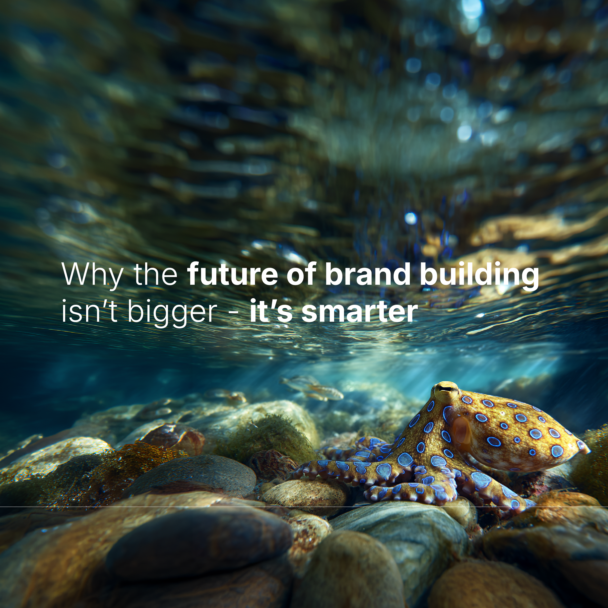 The Creative Distillery Ecosystem