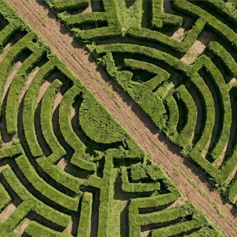 SEO strategy concept showing a maze representing how businesses navigate search visibility